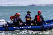 a whale rescue boat with trained responders heads out to sea