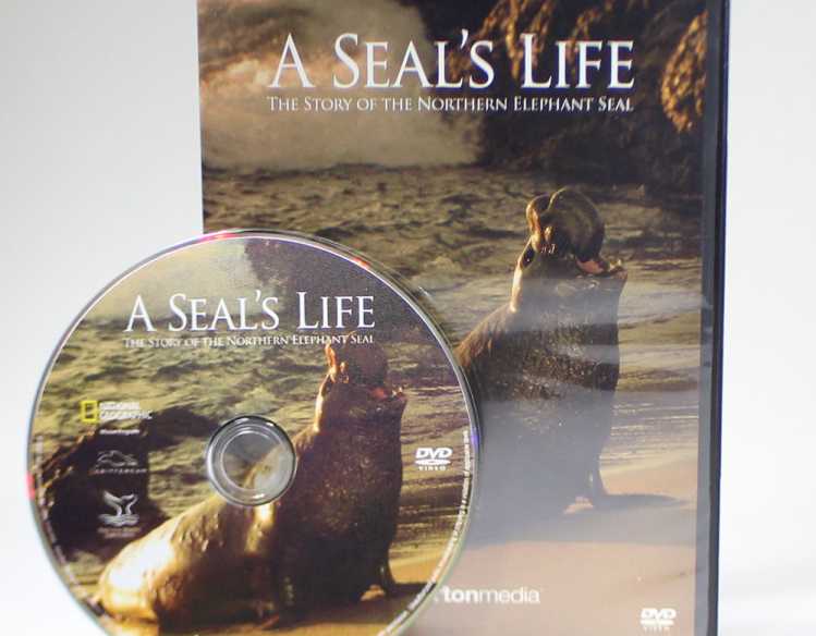 A Seal's Life DVD and case