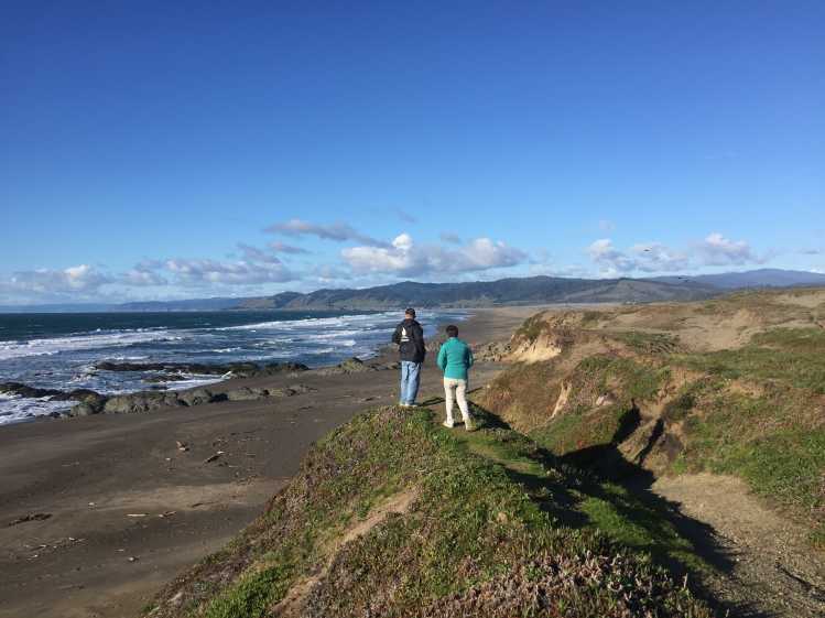 volunteers assess a beach in the Fort Bragg area