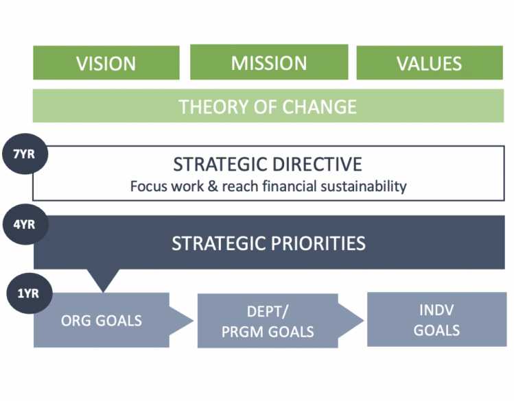 The Marine Mammal Center Strategic Framework