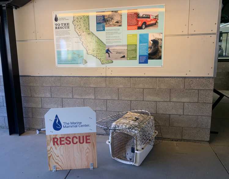 rescue display featuring a rescue board, net and crate as well as a sign that says "To the Rescue"