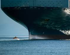 dolphin leaping in front of a giant container ship
