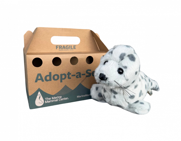Adopt-a-Seal® - Bogey - Rescue Crate